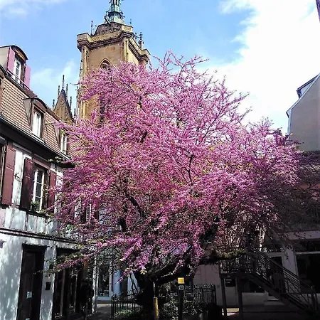 Bed & Breakfast Les Iris *